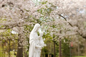 Religious statue of the Virgin Mary near the Basilica of Belmont Abbey in Belmont, NC.